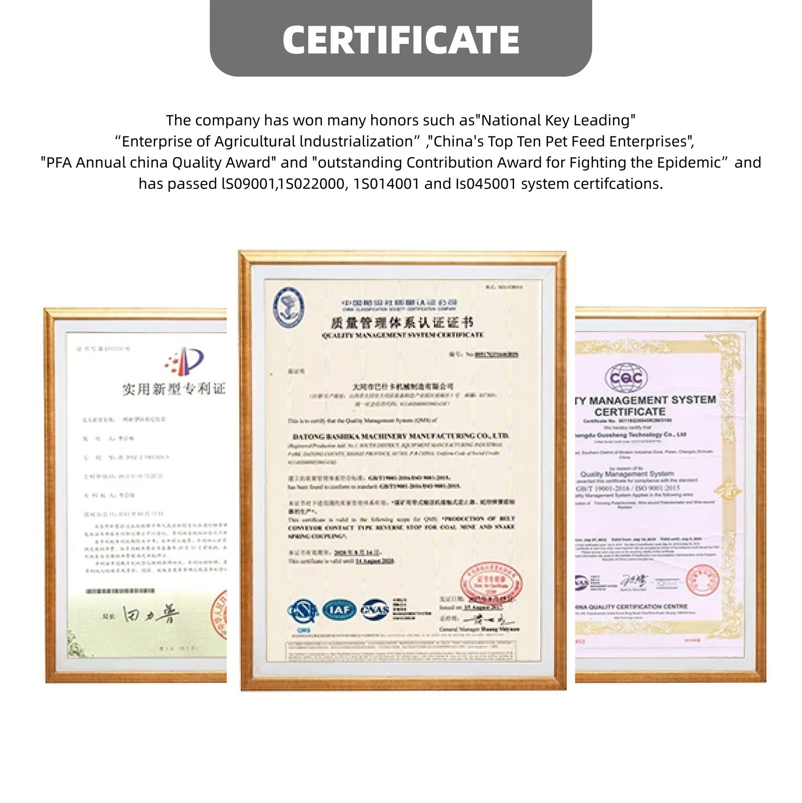 certificate 1