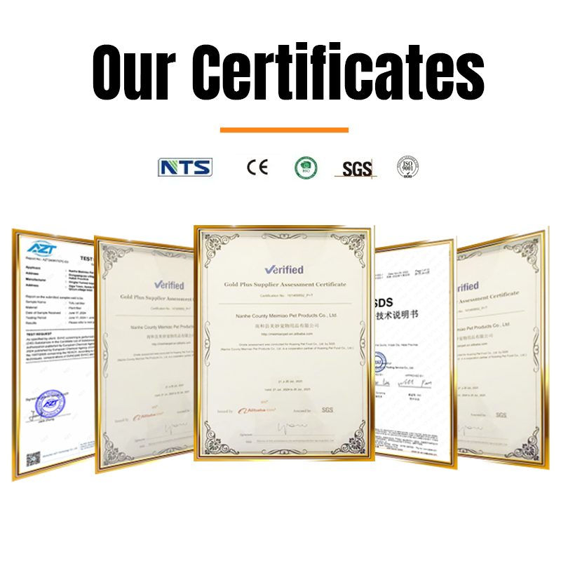 certificate 2