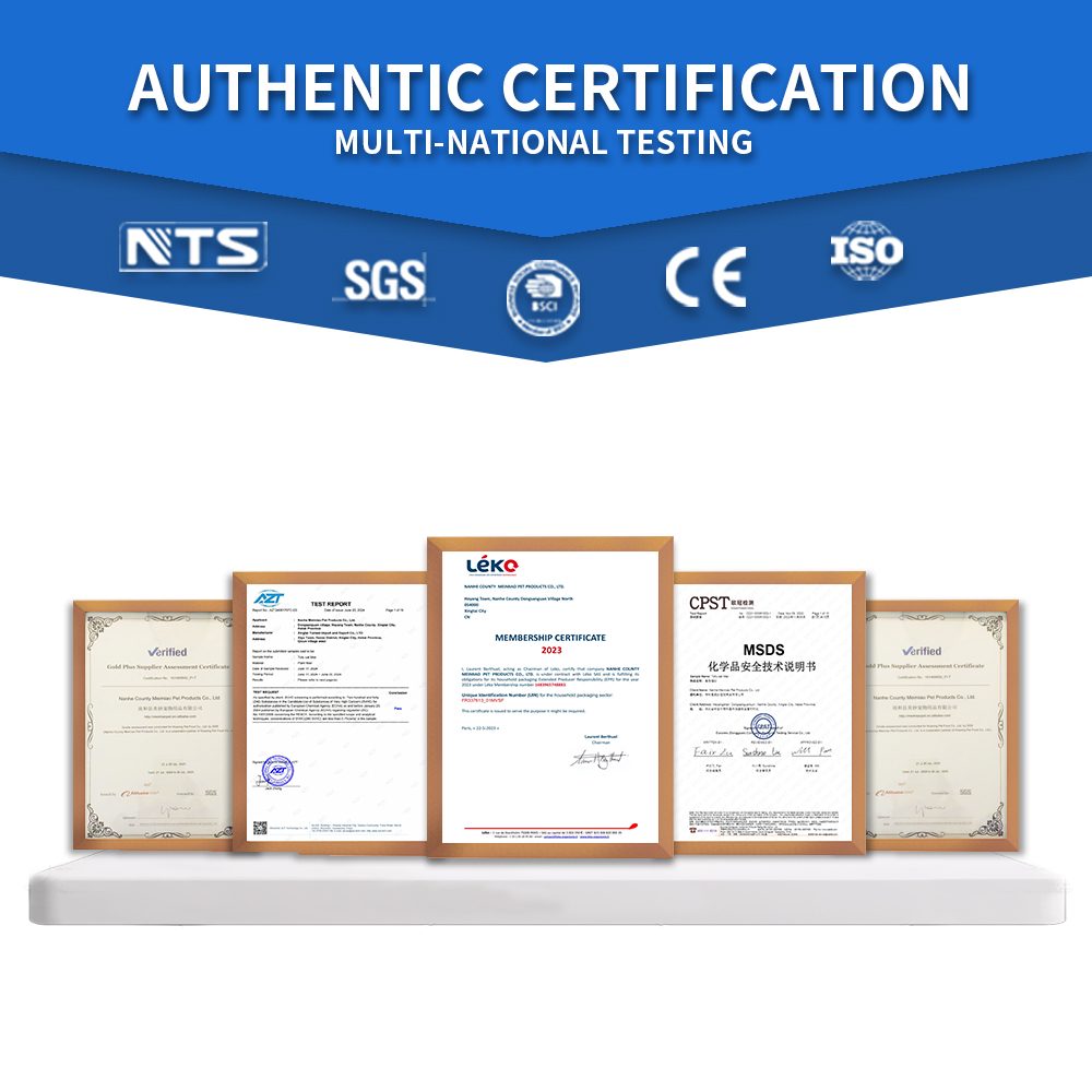 certificate 3