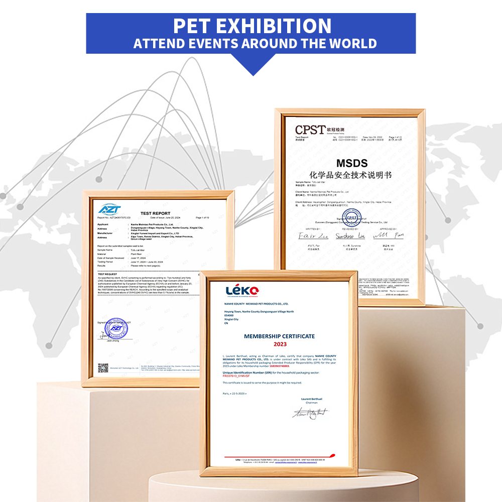 certificate 5