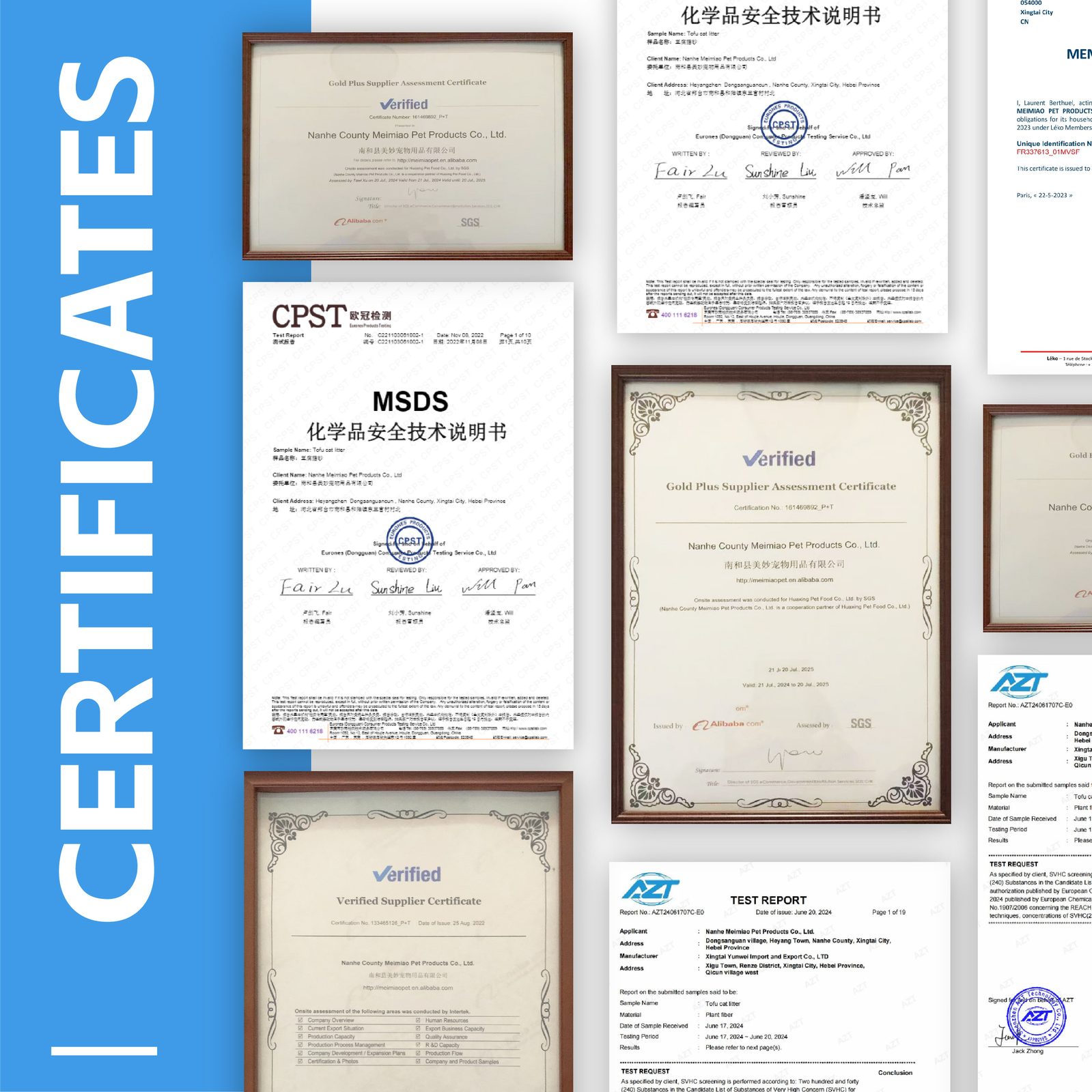 certificate 6