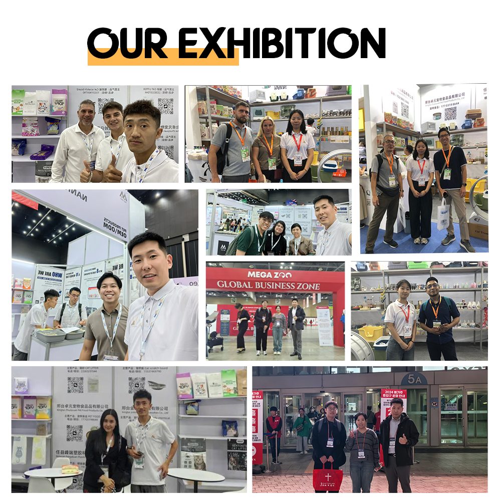 exhibition 2